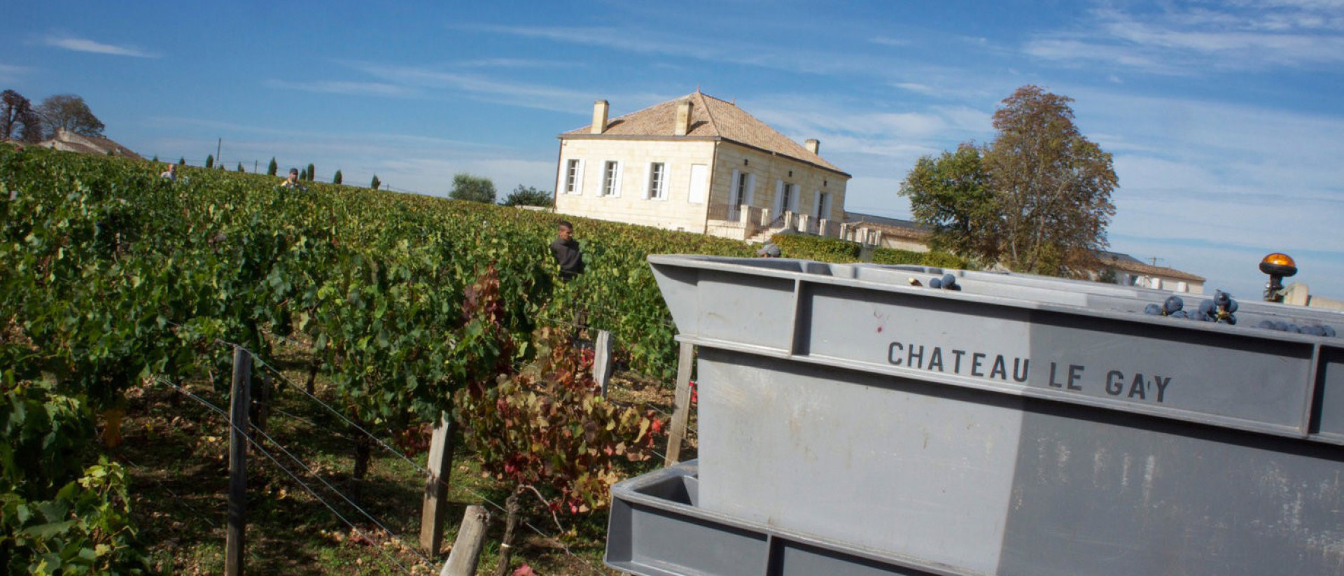 Chateau Le Gay Pomerol Wine Academy Cult Wines