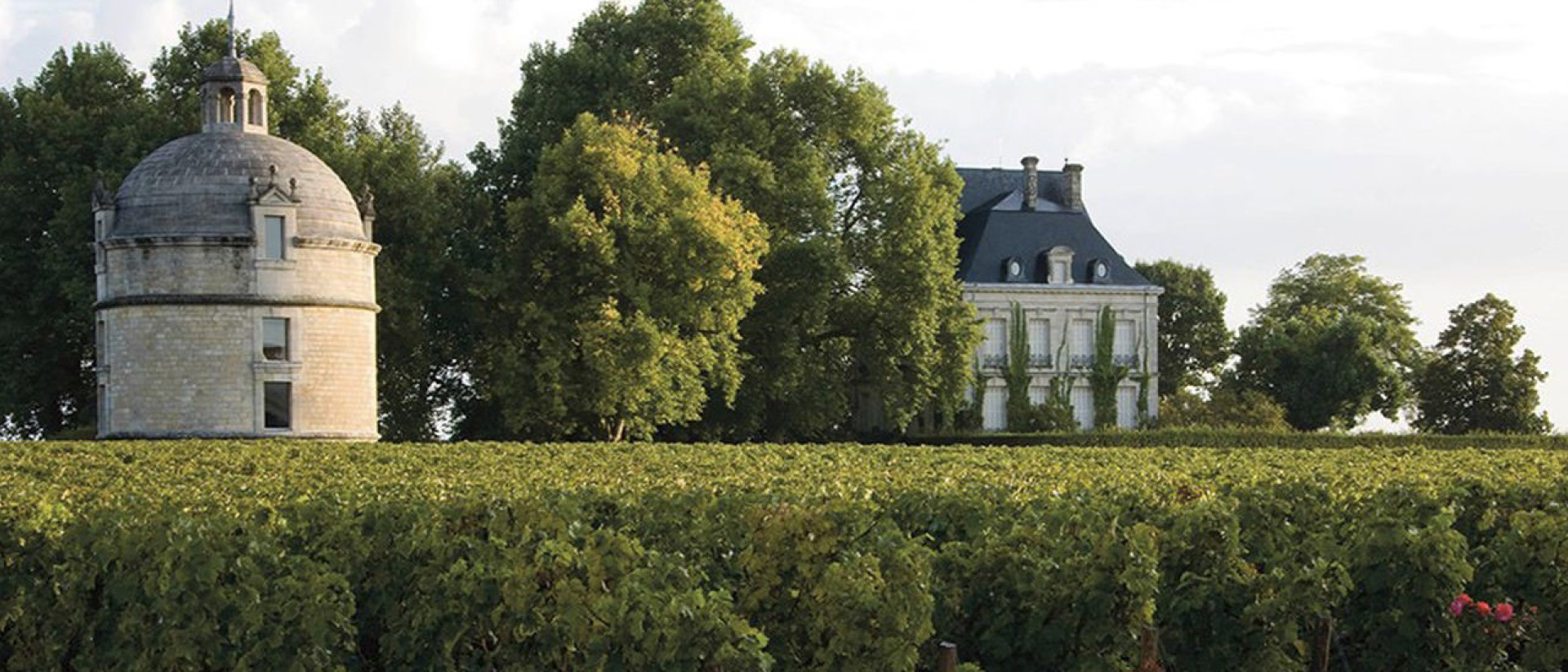 Latour | Chateau Latour | Pauillac | Cult Wines