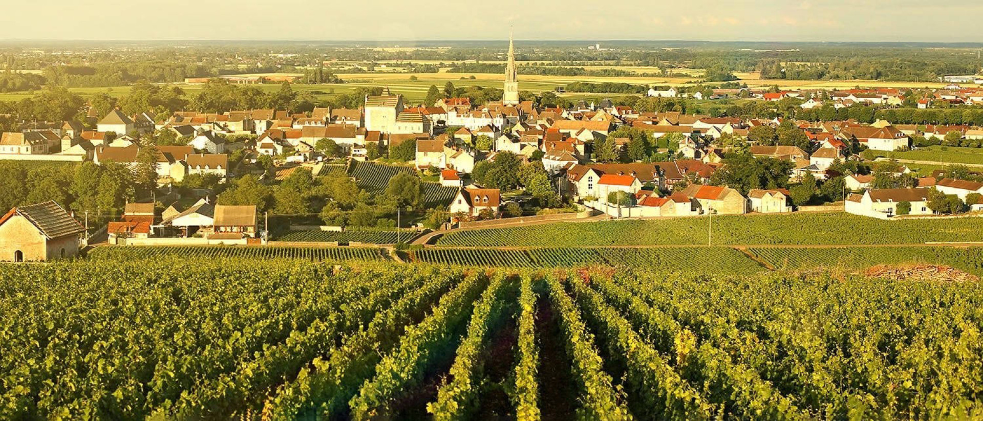 Domaine Coche Dury