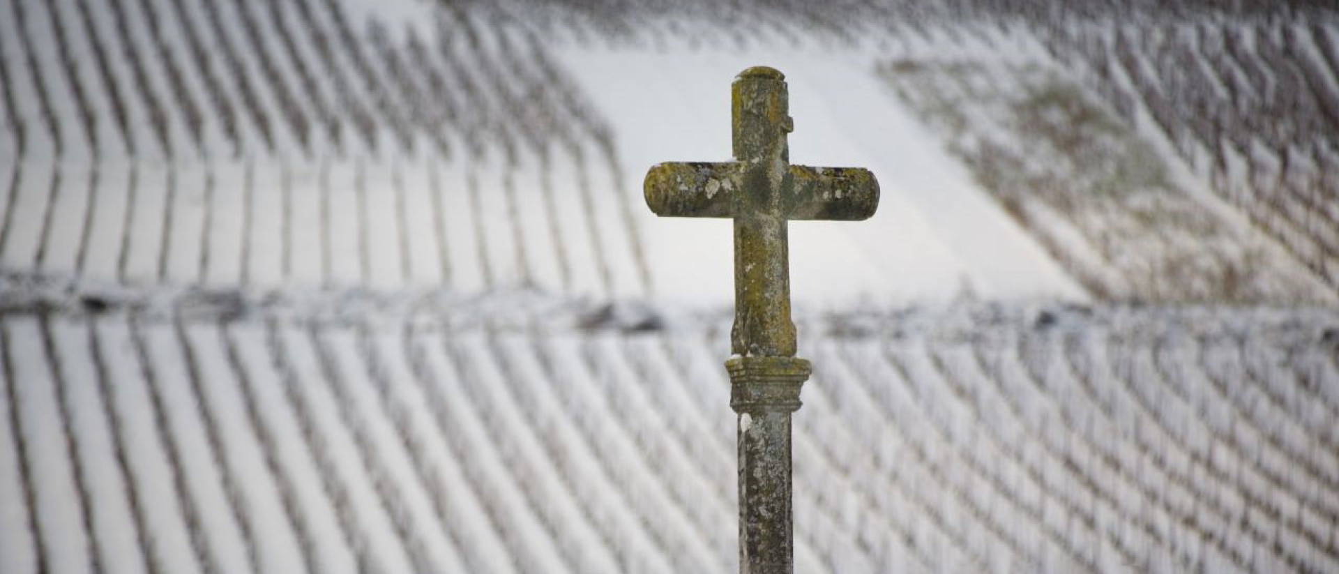 Domaine de la Romanee Conti