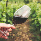 Wine variety alternatives tn