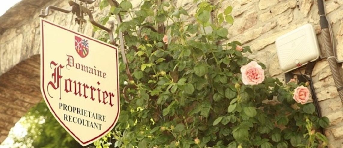 Domaine Fourrier Burgundy 2019 En Primeur Producer Profile Cult Wines